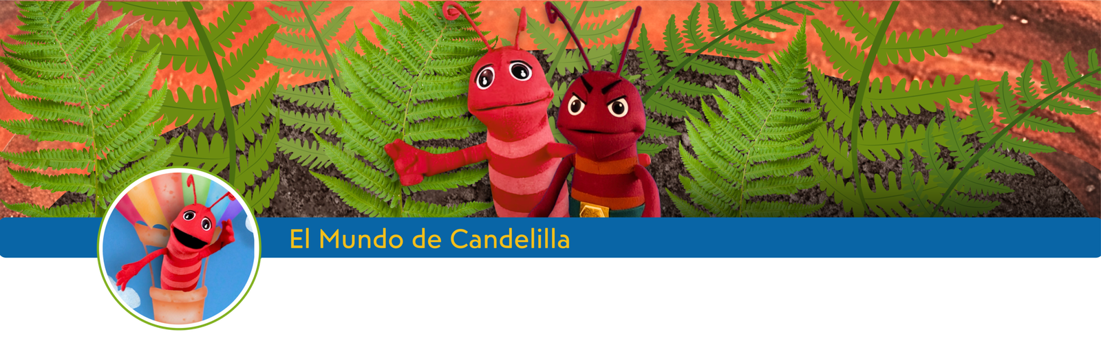 banner-mundo-de-candelilla